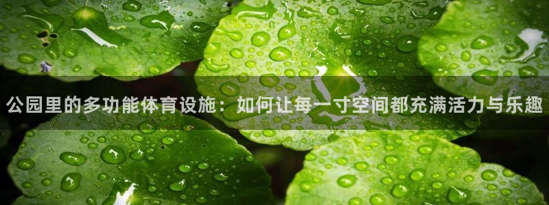 意昂平台体育：公园里的多功能体育设施：如何让每一寸空间都充满