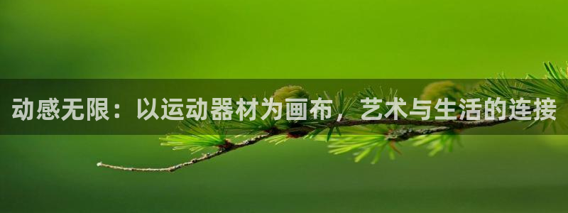 凯捷体育官方客服电话：动感无限：以运动器材为画布，艺