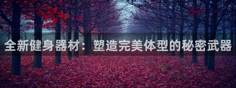 意昂平台体育：全新健身器材：塑造完美体型的秘密武器