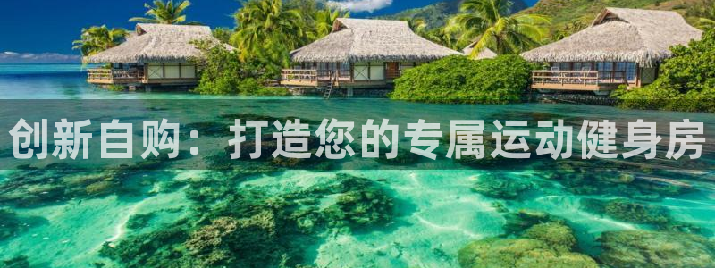 凯捷体育集团官网首页网址：创新自购：打造您的专属运动