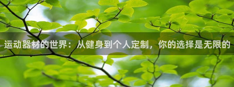 凯捷体育平台注册流程图：运动器材的世界：从健身到个人
