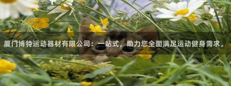 海南凯捷体育：厦门博特运动器材有限公司：一站式，助力