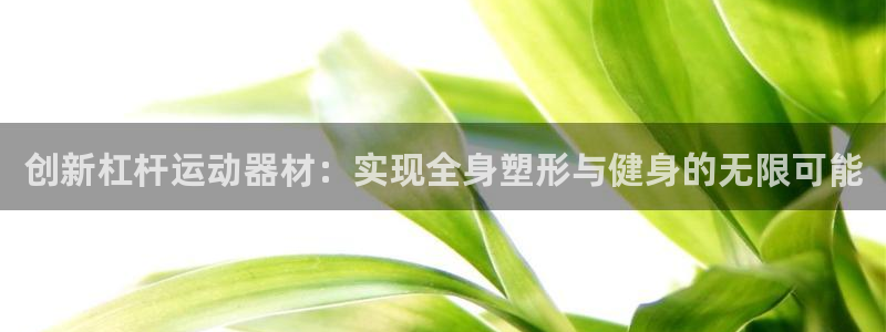 凯捷体育娱乐平台：创新杠杆运动器材：实现全身塑形与健身的无限