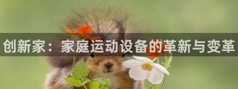 凯捷体育代理：创新家：家庭运动设备的革新与变革
