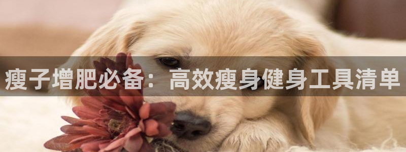 凯捷体育招商电话是多少啊：瘦子增肥必备：高效瘦身健身