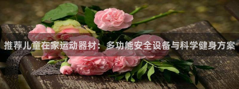 凯捷体育平台注册：推荐儿童在家运动器材：多功能安全设