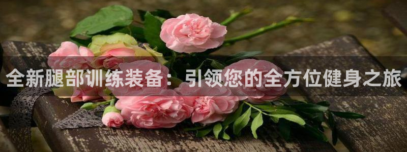 凯捷体育招商电话号码：全新腿部训练装备：引领您的全方