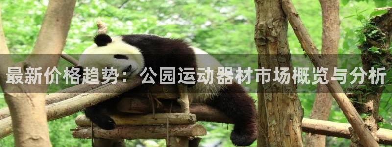 凯捷体育平台注册要钱吗安全吗：最新价格趋势：公园运动