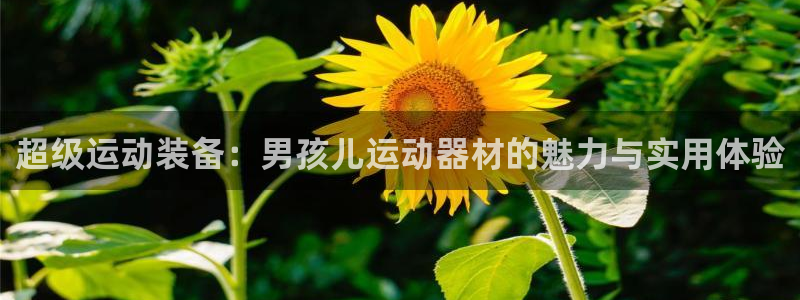 凯捷体育招商电话号码是多少啊：超级运动装备：男孩儿运