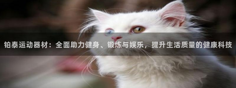 凯捷体育软件：铂泰运动器材：全面助力健身、锻炼与娱乐
