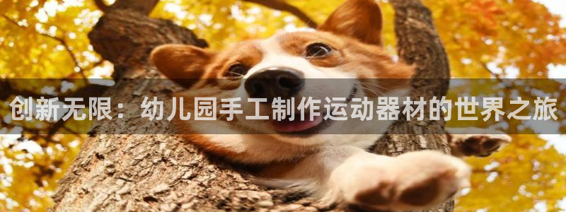 意昂平台体育：创新无限：幼儿园手工制作运动器材的世界