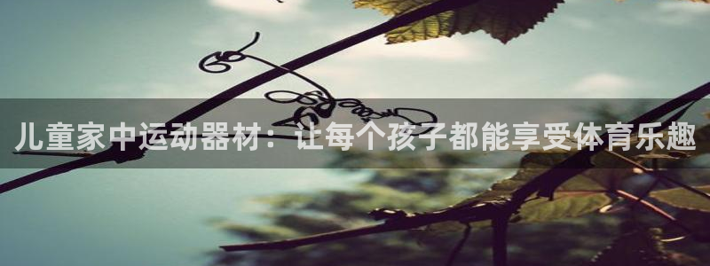 凯捷体育招商电话地址：儿童家中运动器材：让每个孩子都