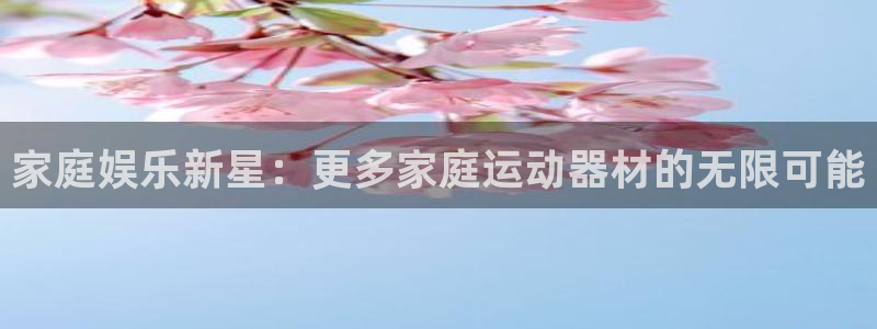 凯捷体育平台注册流程图：家庭娱乐新星：更多家庭运动器