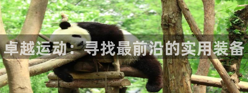 凯捷体育集团官网首页：卓越运动：寻找最前沿的实用装备