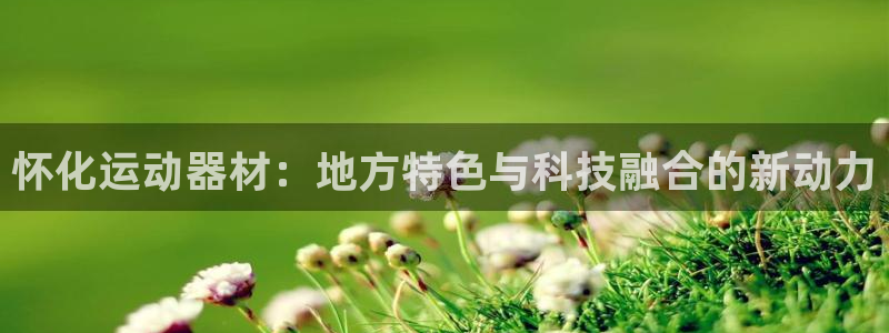 凯捷体育集团简介：怀化运动器材：地方特色与科技融合的