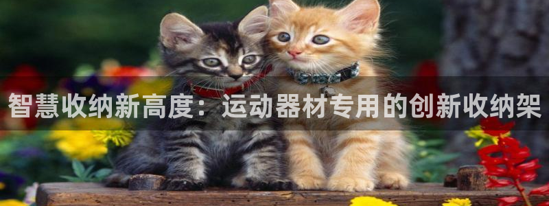 注册凯捷体育：智慧收纳新高度：运动器材专用的创新收纳