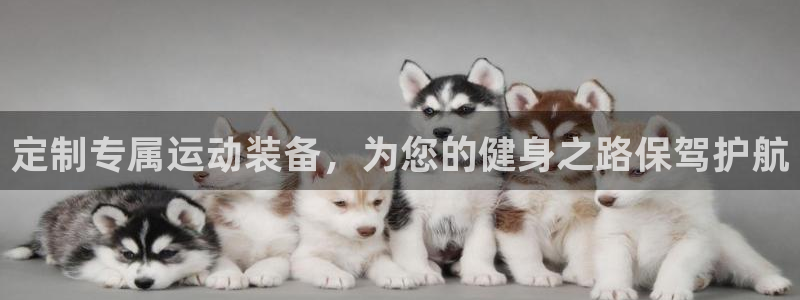 凯捷体育娱乐代理怎么样：定制专属运动装备，为您的健身