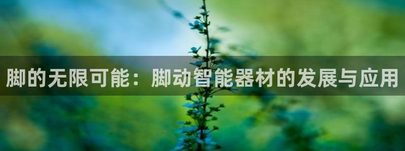 凯捷体育平台注册要钱吗是真的吗：脚的无限可能：脚动智