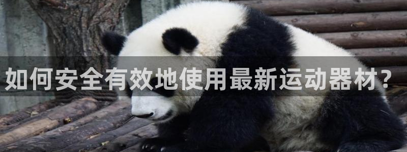凯捷体育娱乐40996：如何安全有效地使用最新运动器