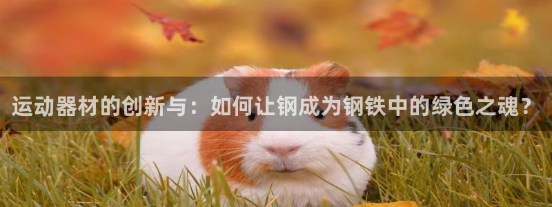 凯捷体育开户：运动器材的创新与：如何让钢成为钢铁中的