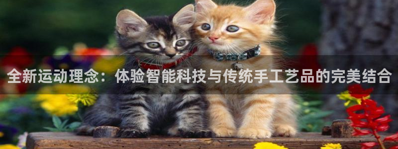 注册凯捷体育：全新运动理念：体验智能科技与传统手工艺品的完美