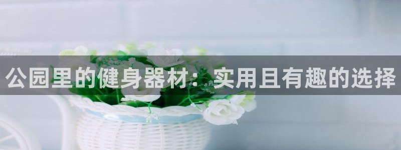 凯捷体育五金厂：公园里的健身器材：实用且有趣的选择