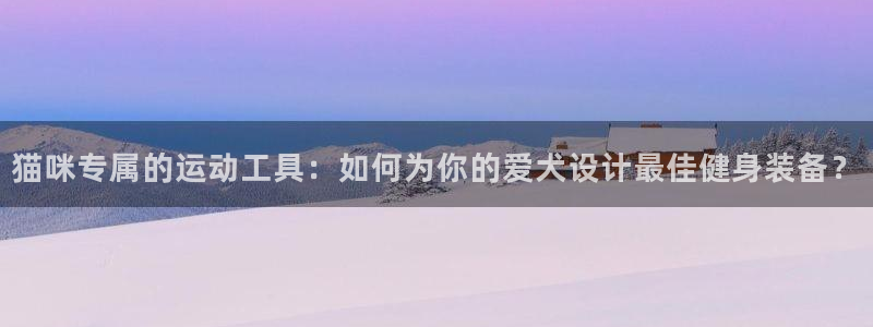 凯捷体育招商：猫咪专属的运动工具：如何为你的爱犬设计