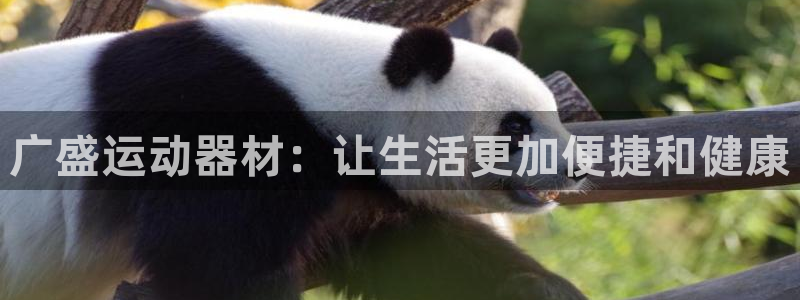 凯捷体育开户：广盛运动器材：让生活更加便捷和健康