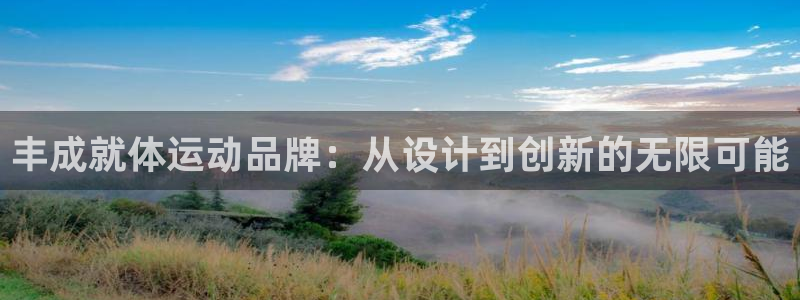 意昂平台体育：丰成就体运动品牌：从设计到创新的无限可