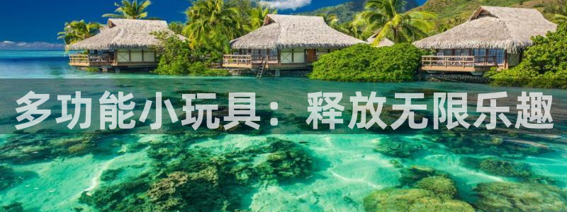 凯捷体育平台是正规平台吗安全吗：多功能小玩具：释放无