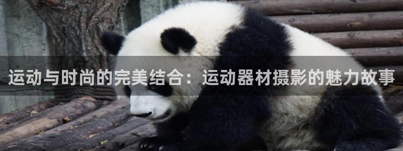凯捷体育集团E.ON：运动与时尚的完美结合：运动器材