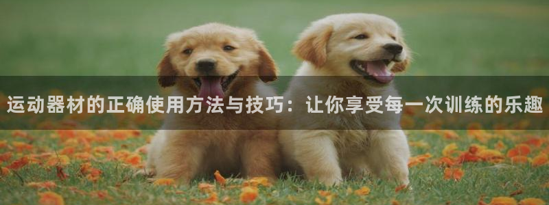 凯捷体育招商电话号码