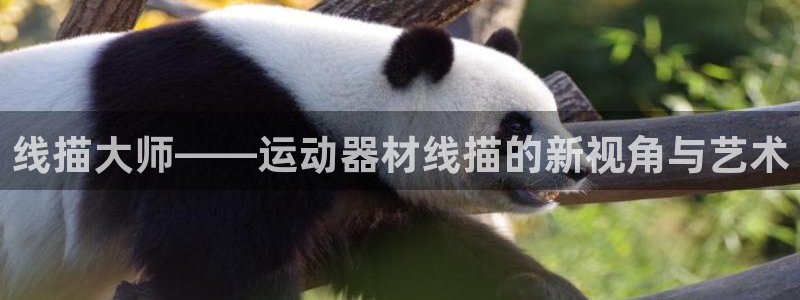 意昂集团官网：线描大师——运动器材线描的新视角与艺术