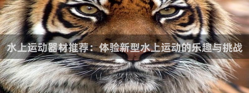 凯捷体育官网：水上运动器材推荐：体验新型水上运动的乐趣与挑战