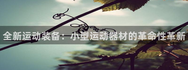 凯捷体育：全新运动装备：小型运动器材的革命性革新