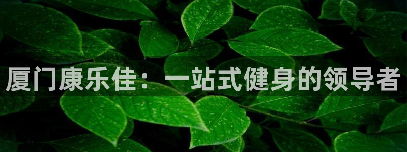 意昂平台体育：厦门康乐佳：一站式健身的领导者
