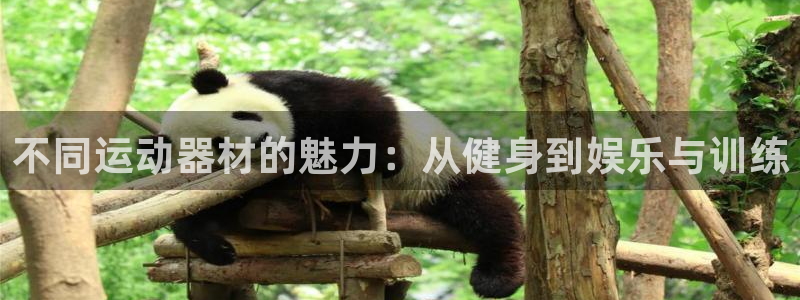 凯捷体育娱乐首页官网下载：不同运动器材的魅力：从健身