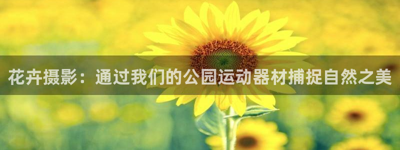 凯捷体育招商电话地址查询：花卉摄影：通过我们的公园运