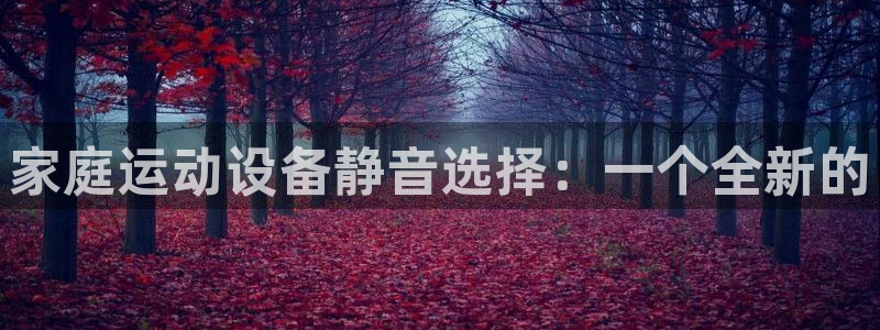 注册凯捷体育：家庭运动设备静音选择：一个全新的