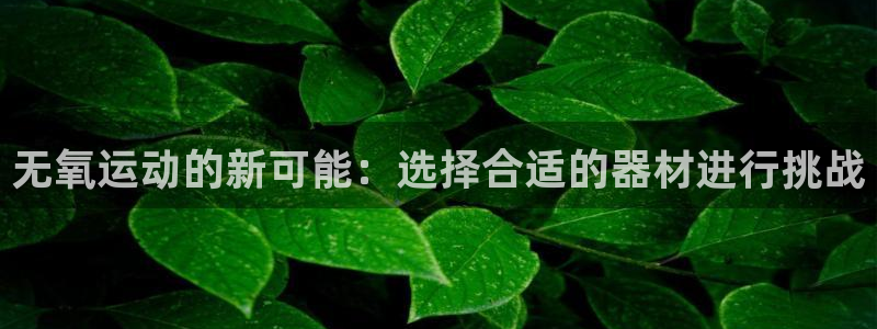 凯捷体育科技：无氧运动的新可能：选择合适的器材进行挑