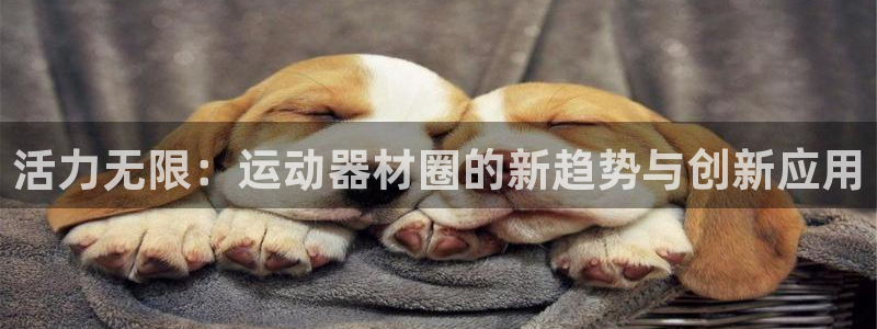 凯捷体育娱乐网站：活力无限：运动器材圈的新趋势与创新应用
