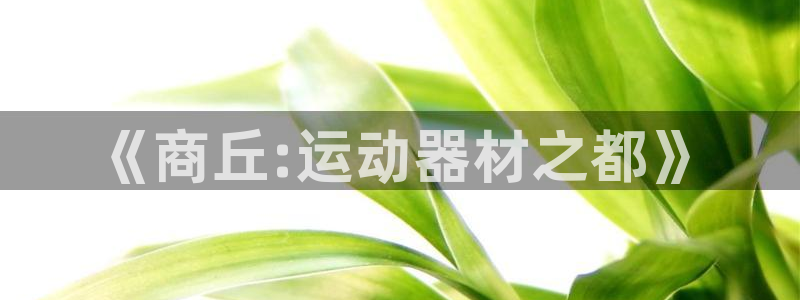 注册凯捷体育：《商丘:运动器材之都》