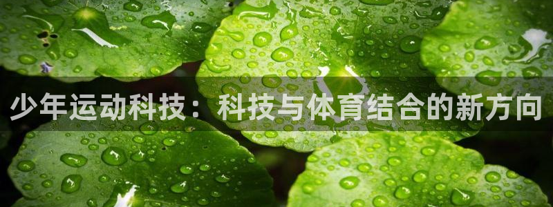 凯捷体育娱乐平台：少年运动科技：科技与体育结合的新方向