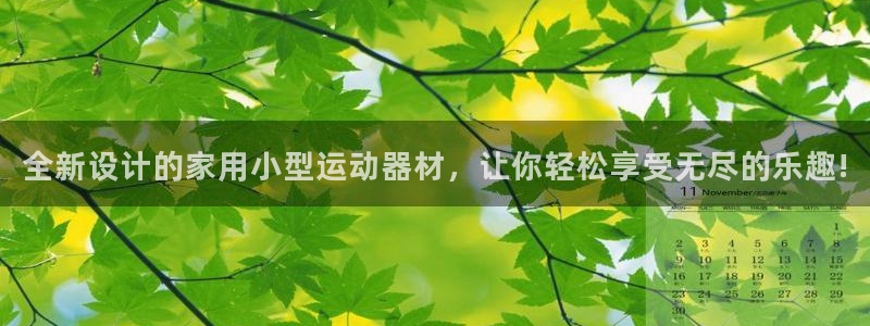 凯捷体育娱乐：全新设计的家用小型运动器材，让你轻松享受无尽的