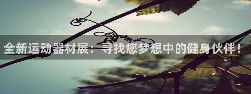 凯捷体育科技：全新运动器材展：寻找您梦想中的健身伙伴！