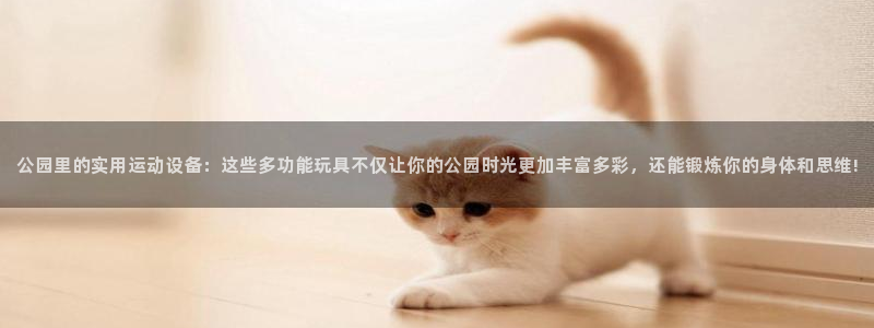 凯捷体育招商电话是多少号码：公园里的实用运动设备：这些多功能