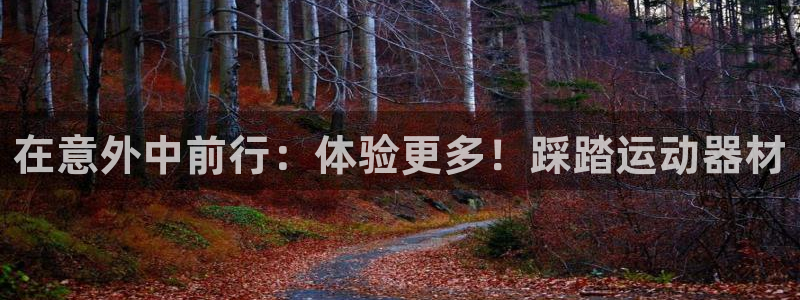 凯捷体育招商电话：在意外中前行：体验更多！踩踏运动器材