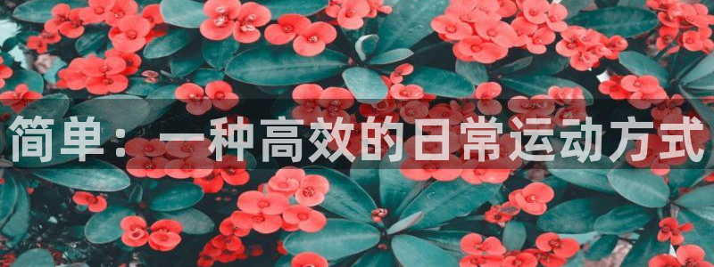 凯捷体育集团简介：简单：一种高效的日常运动方式