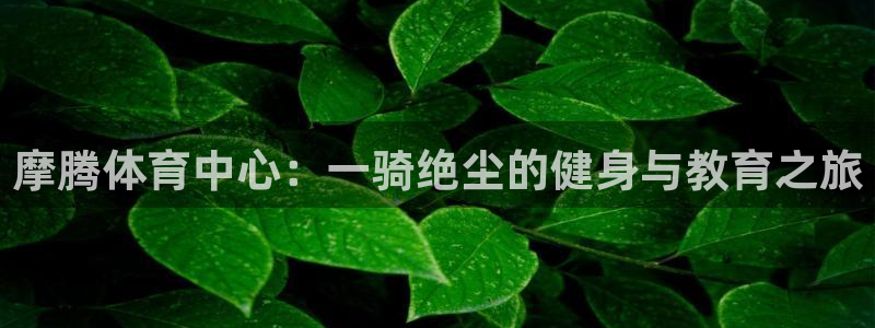 凯捷体育集团官网首页：摩腾体育中心：一骑绝尘的健身与