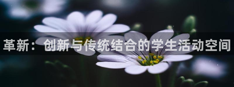 凯捷体育娱乐是那个系列的台子：革新：创新与传统结合的